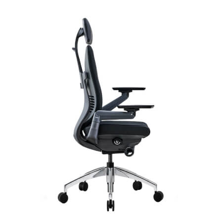 เก้าอี้เพื่อสุขภาพ DF PROCHAIR รุ่น Challenge สีดำ_3